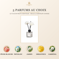 Diffuseur de parfum Maison Milaya Paris – cinq parfums disponibles sur fond ivoire