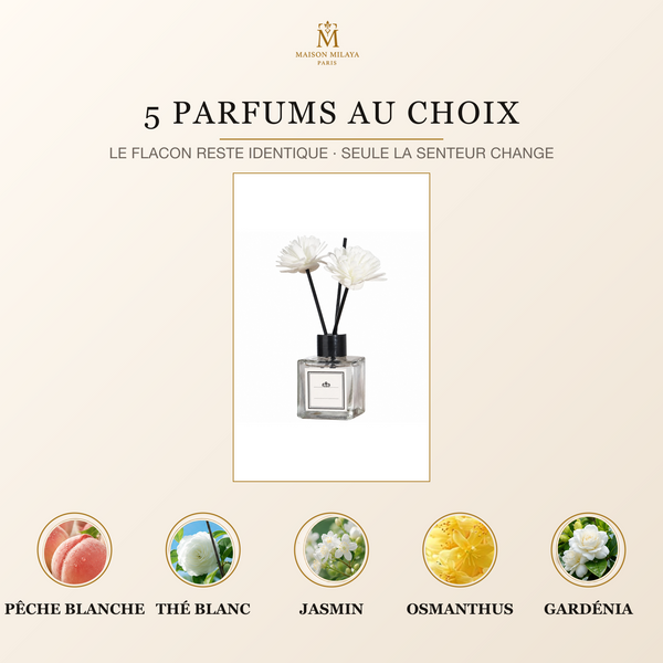 Diffuseur de parfum Maison Milaya Paris – cinq parfums disponibles sur fond ivoire